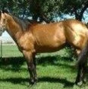 Meet your Posher, Lynn